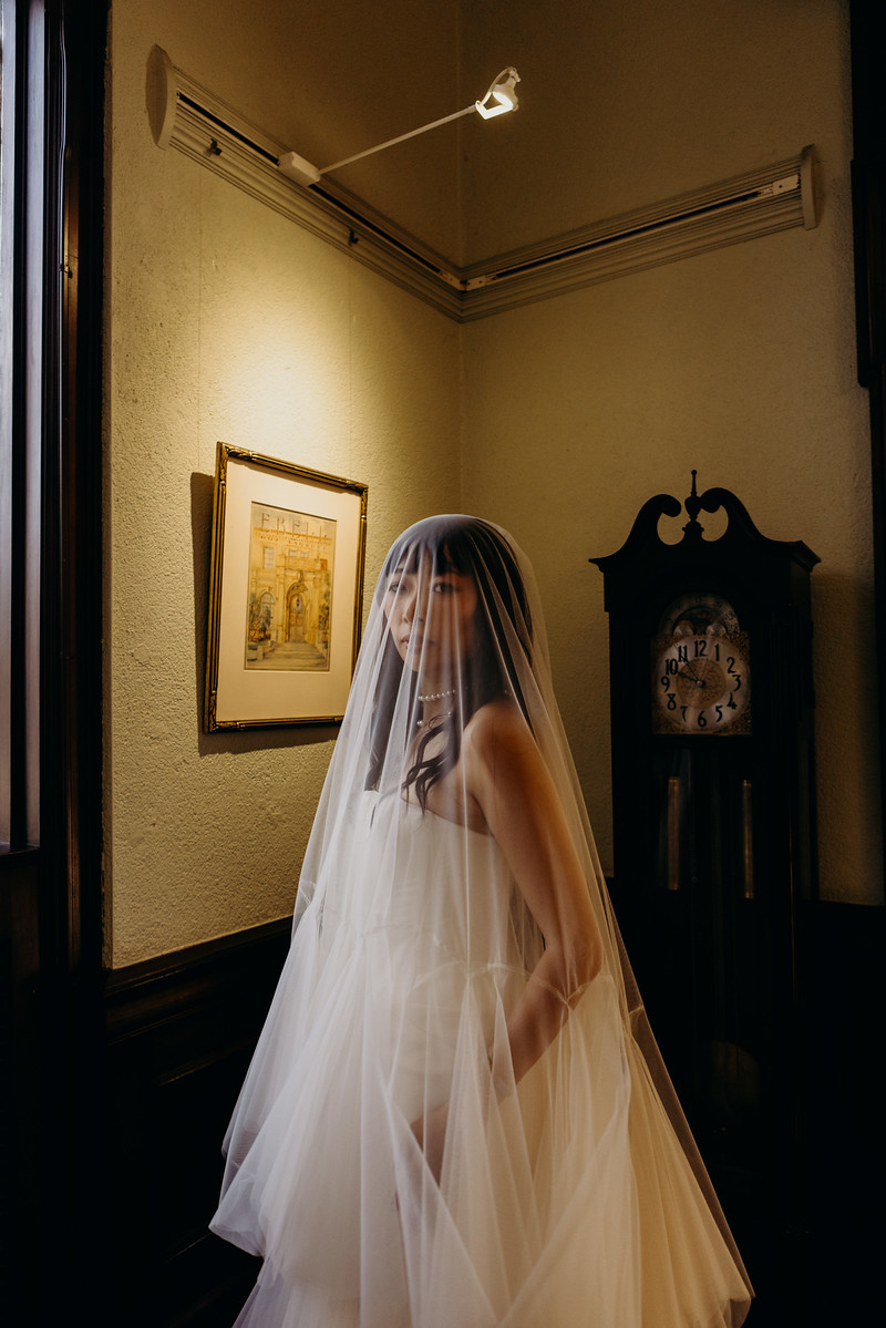 Bride veil portrait